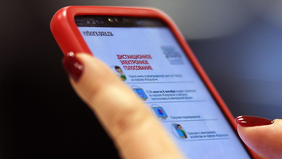 В Общественной палате РФ призвали повысить роль общественного контроля за дистанционным электронным голосованием